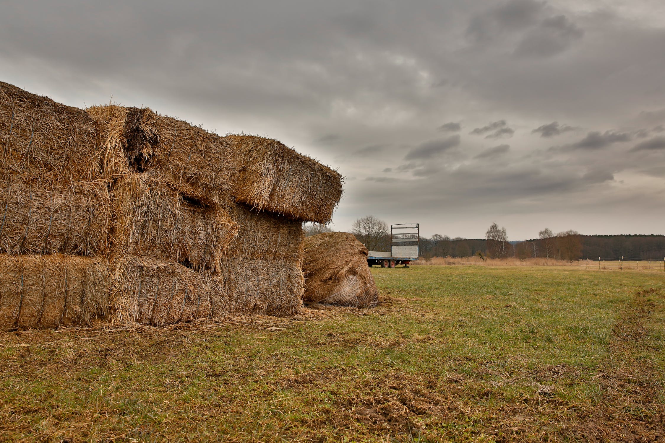 Construire en paille